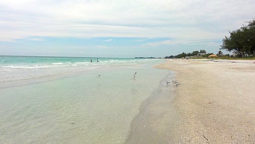 A tökéletes part...